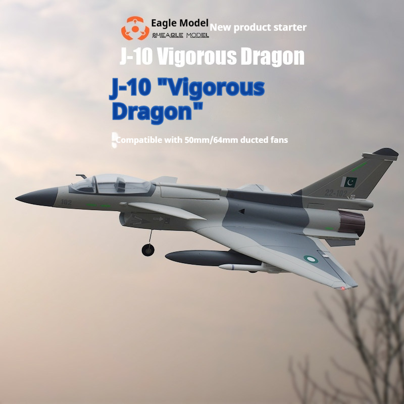 Avión de combate RC de ala fij - Rc Hobby Experts reseña y precio